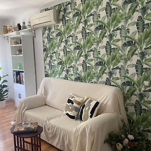 Acogedor Apartamento En Pleno Corazon De Triana